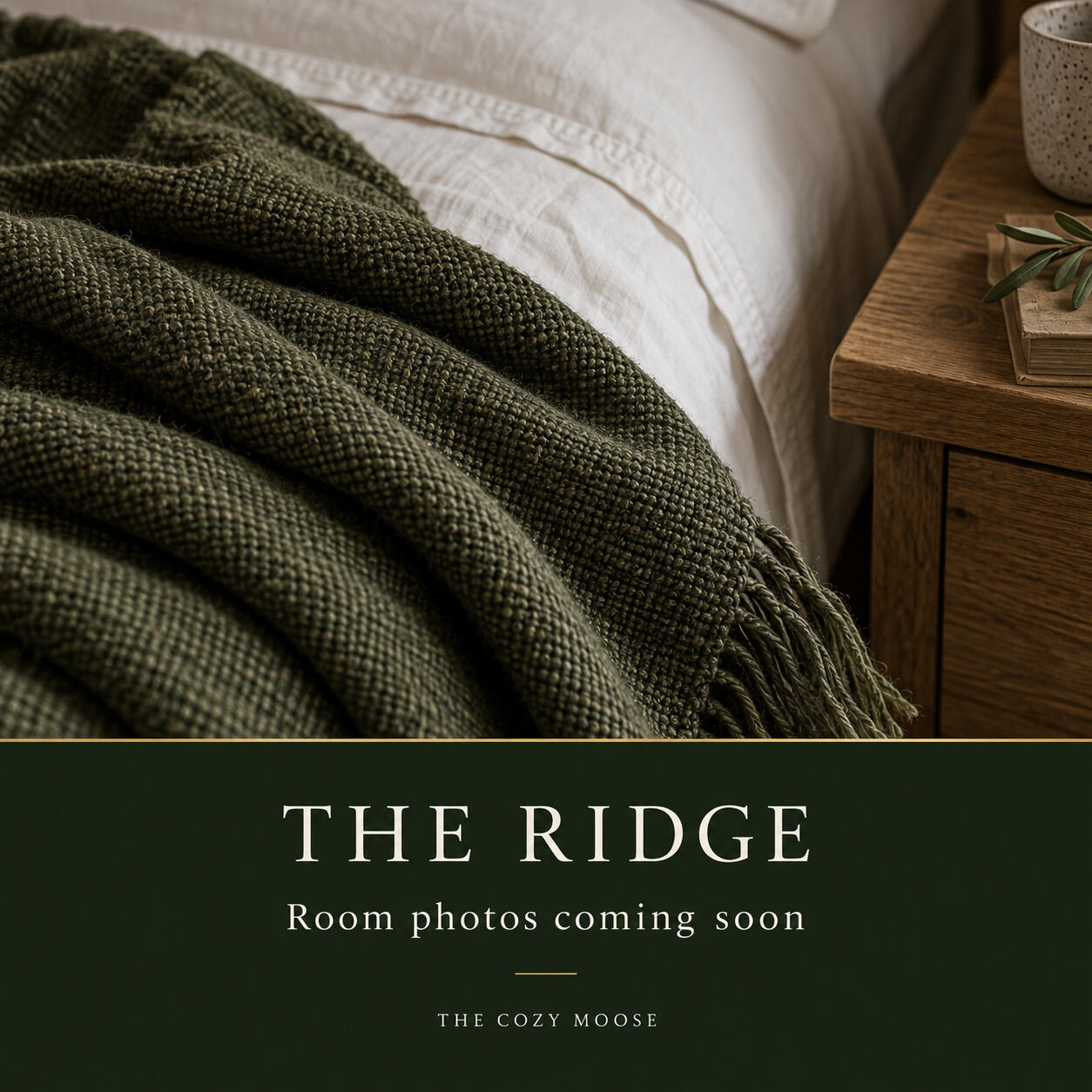 The Ridge at The Cozy Moose - room photos coming soon